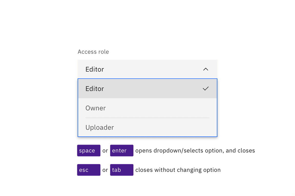Dropdowns are activated and their options selected with Space or Enter keys. Esc closes without changing option Dropdowns are activated and their options selected with Space or Enter keys. Esc closes without changing option